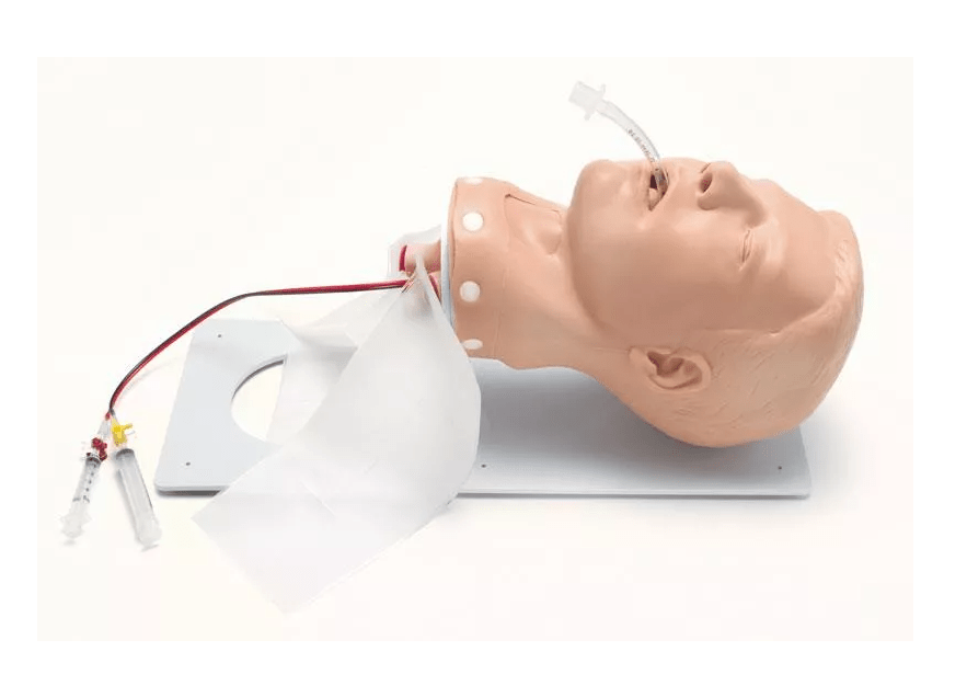 Deluxe Airway Management Trainer Erwachsener - Erler - Zimmer